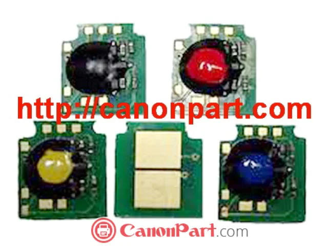 Chip mực 307